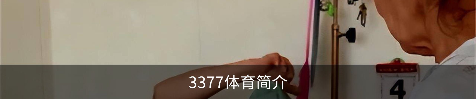 3377体育简介